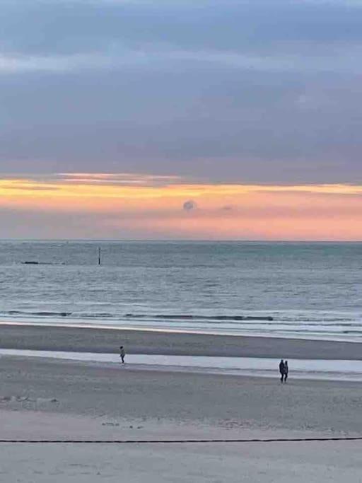 Au 154 Bis - Joli Appartement Avec Grande Terrasse Et Proche De La Plage A Malo Dunkirk المظهر الخارجي الصورة